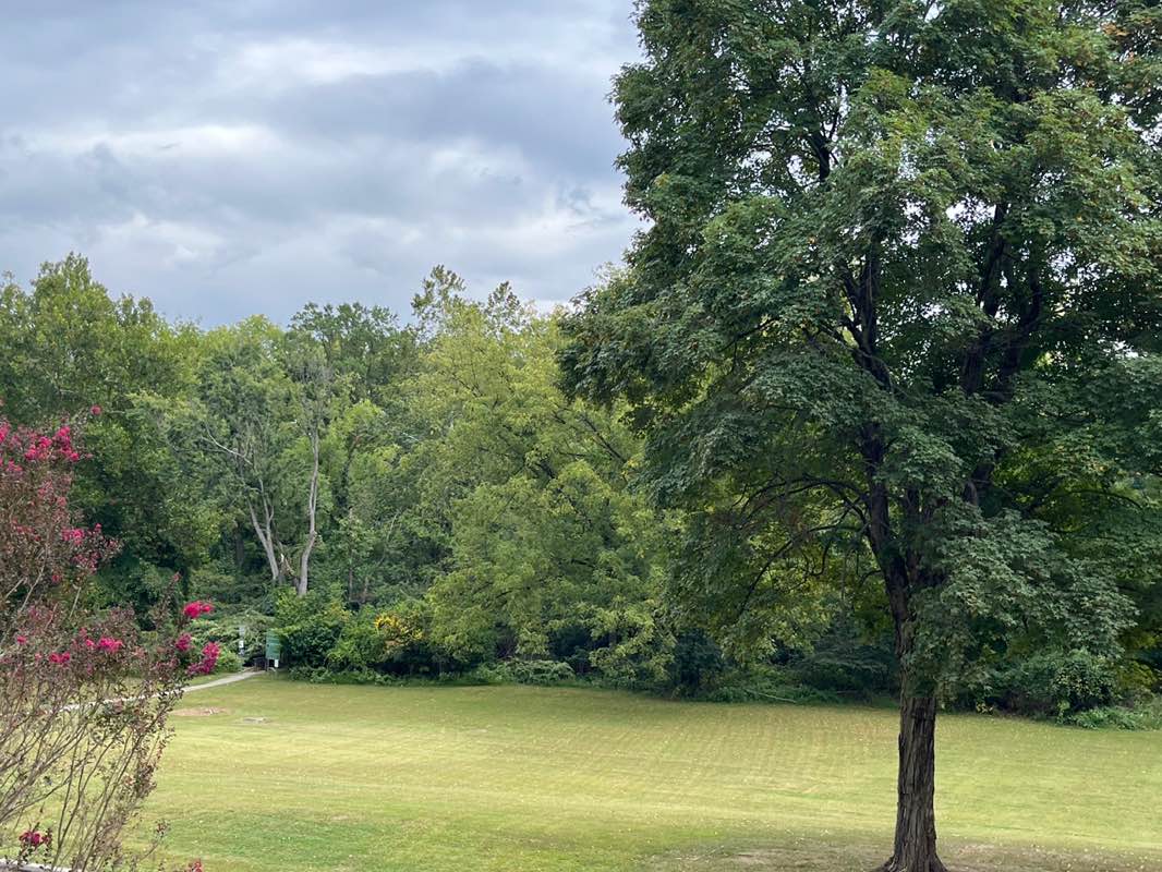 walking near me in Teegarden Park in autumn