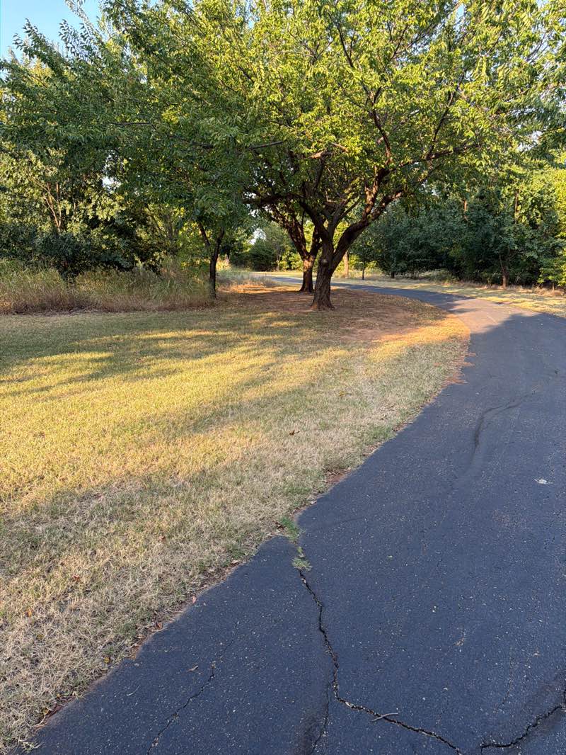 walking near me in Bickham-Rudkin Park in summer
