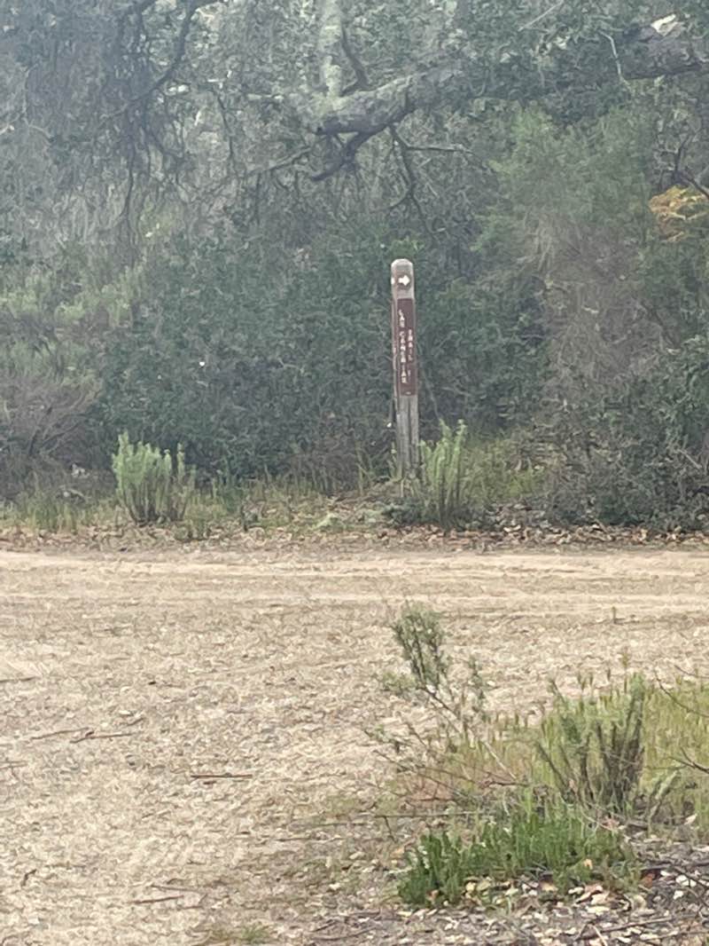 walking near me in La Purisima Mission State Historic Park in winter