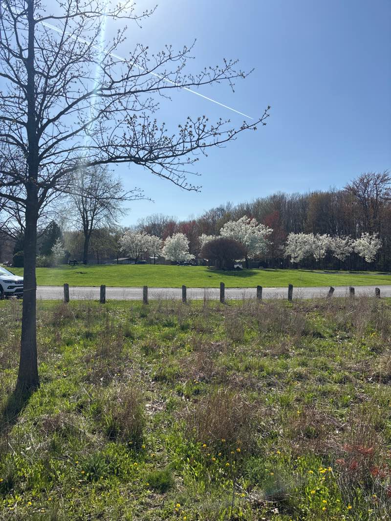 walking near me in Gunnar Mettala Park in spring