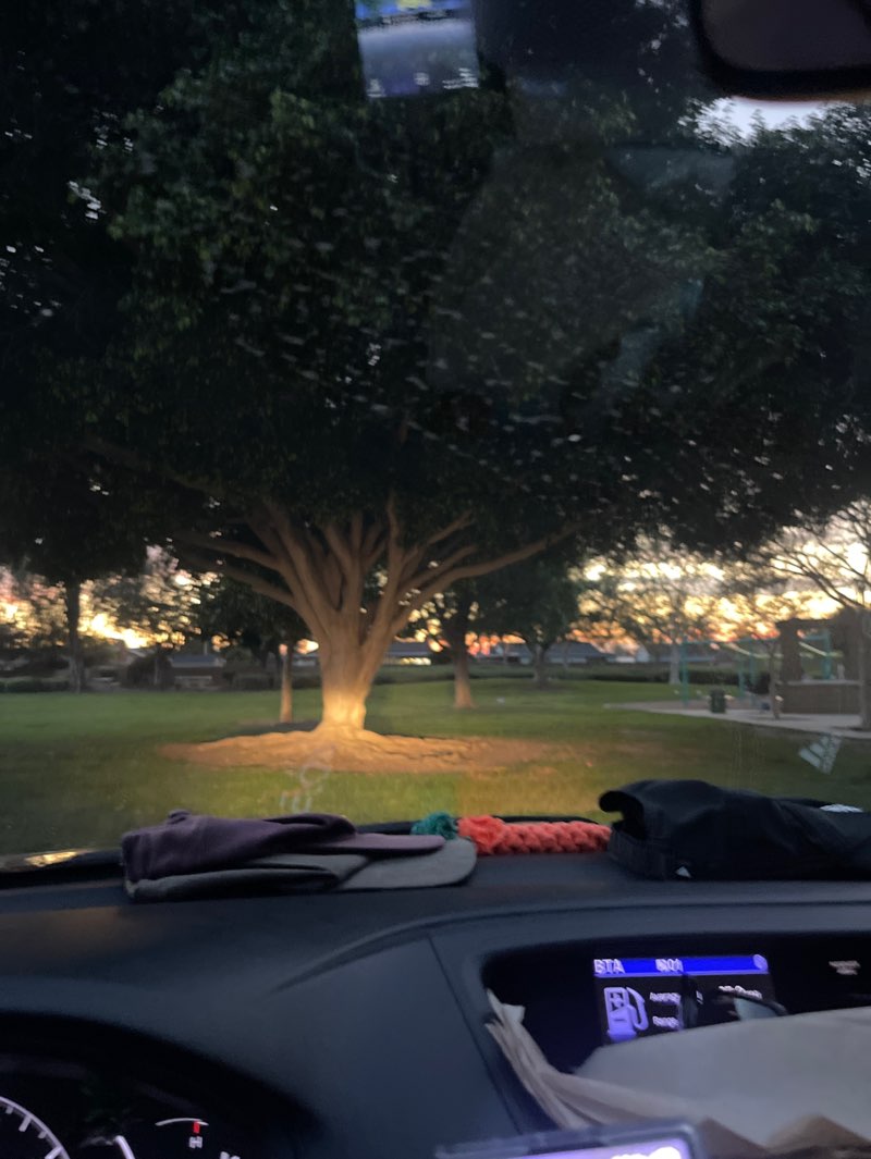 walking near me in Riverdale Park in spring