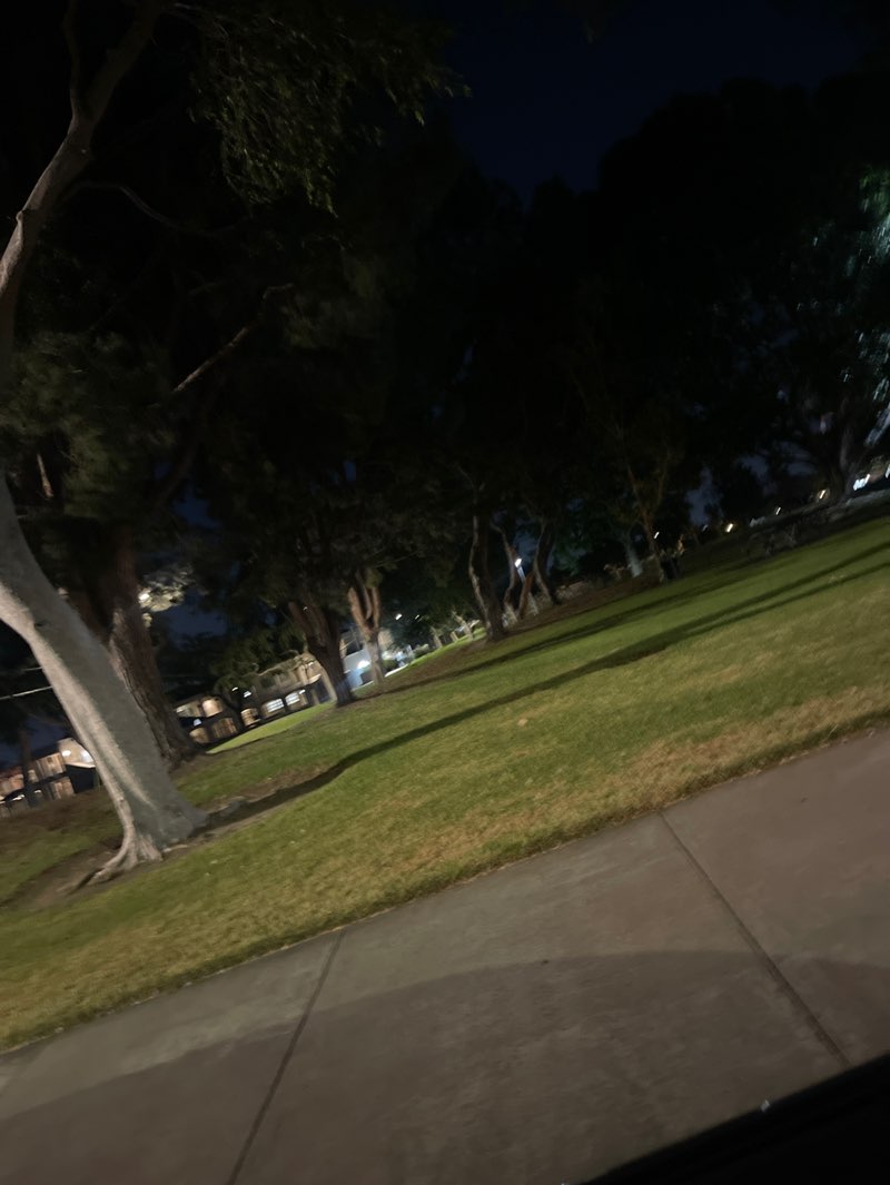 walking near me in John Marshall Park in spring