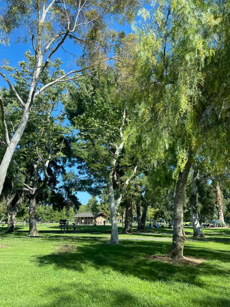 walking near me in Yorba Regional Park in spring