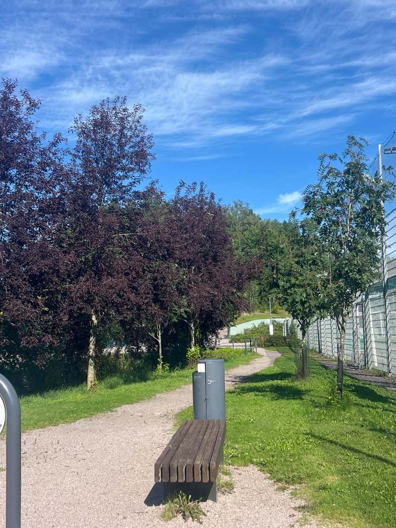 walking near me in Kirkkojärvenranta in autumn