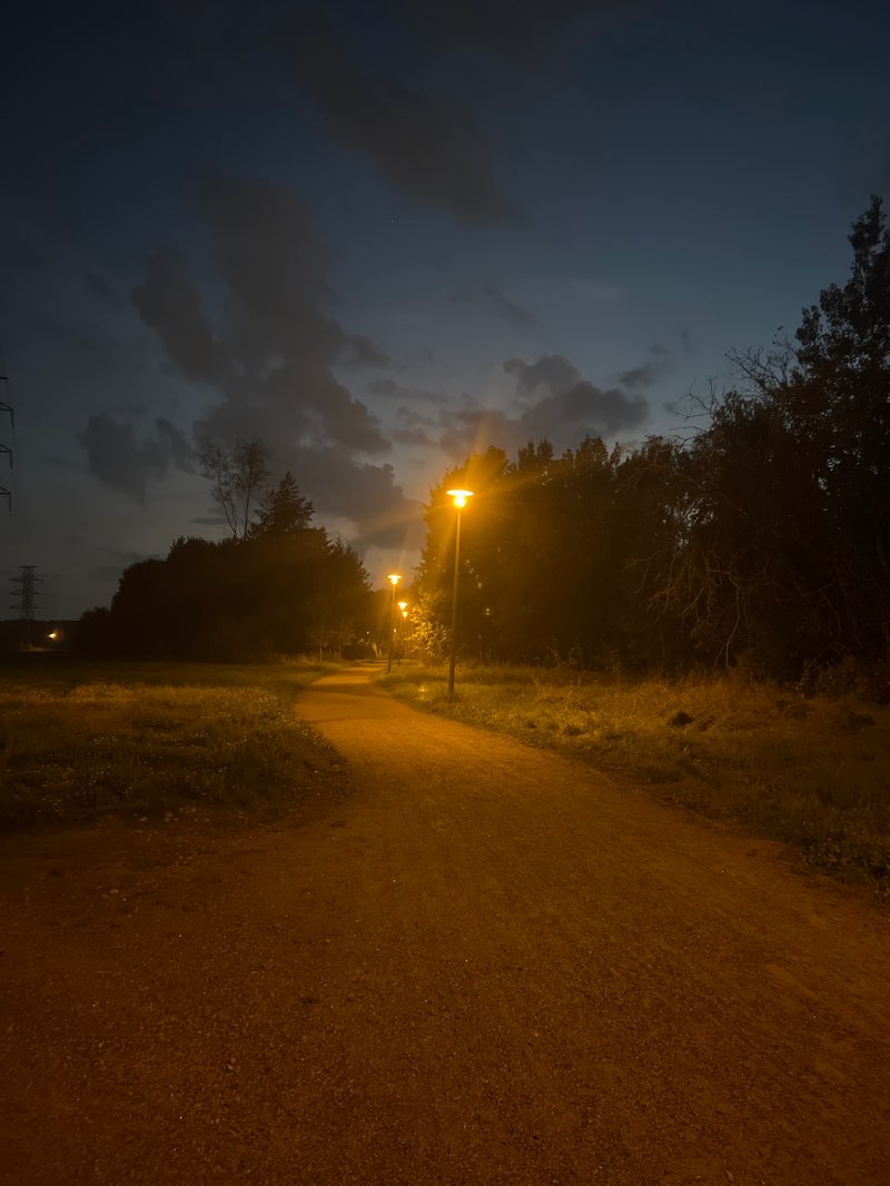 walking near me in Pisanpuisto in autumn