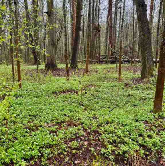 Анастасия 🔥 post 1