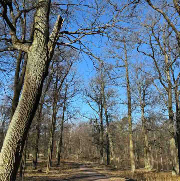 Анастасия 🔥 post 2