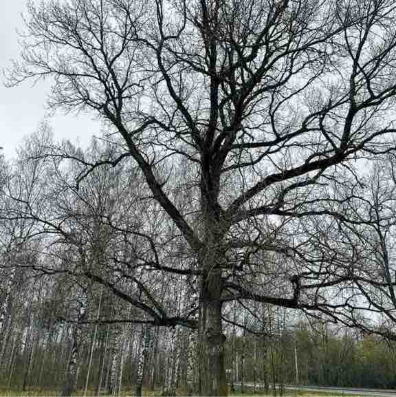 Анастасия 🔥 post 2