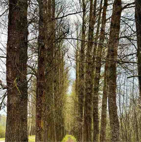 Анастасия 🔥 post 1