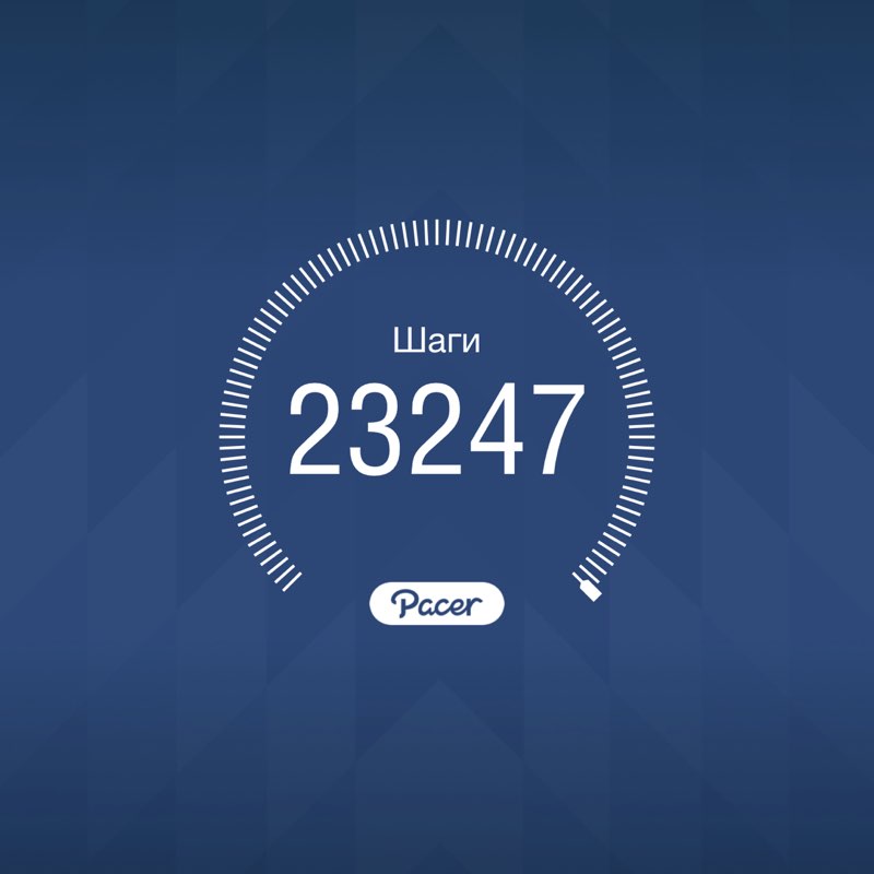 PacerТоварищ post 1