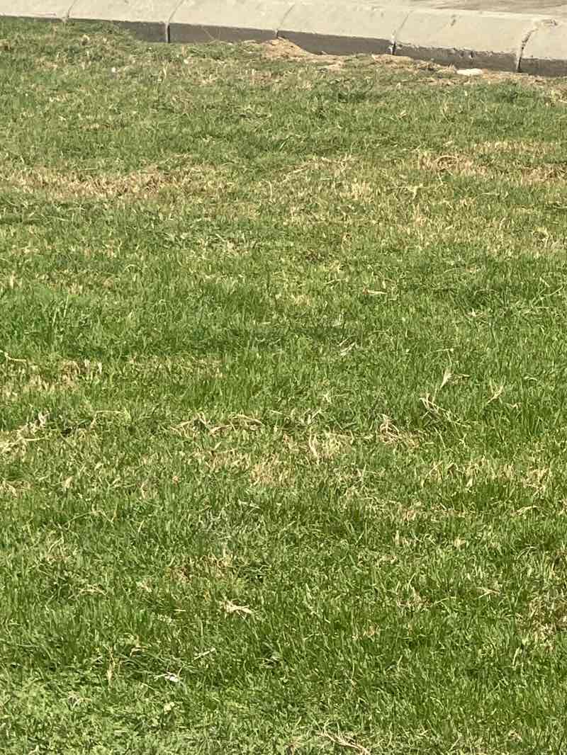 walking near me in حديقة المنتزهات جده in winter