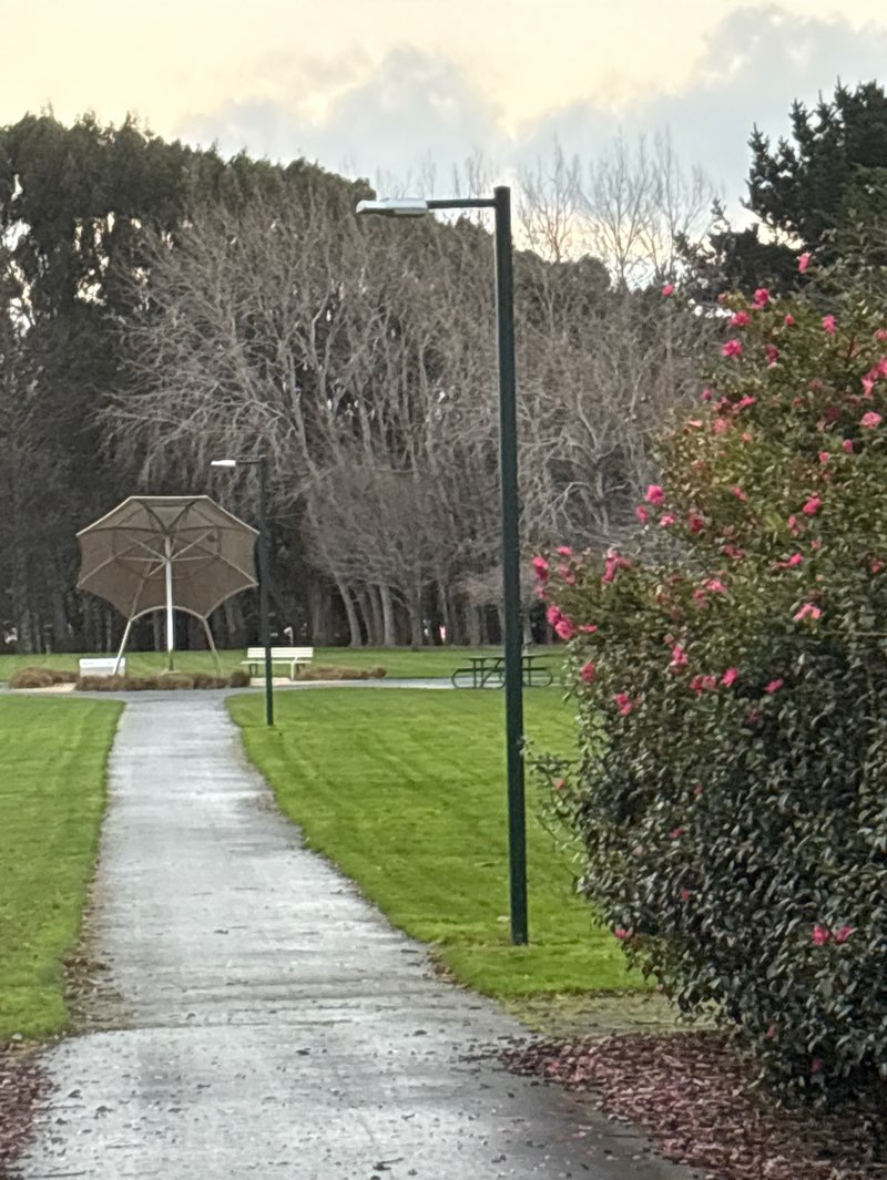 walking near me in Town Belt in winter