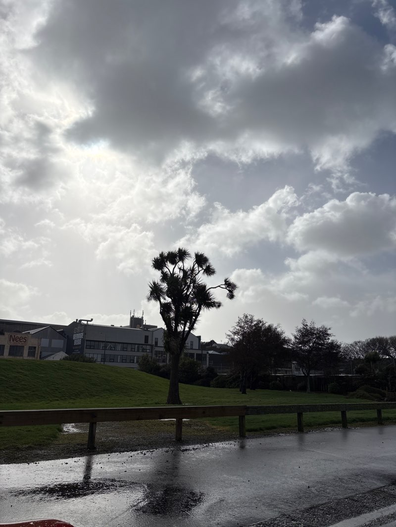 walking near me in Otepuni Gardens in winter