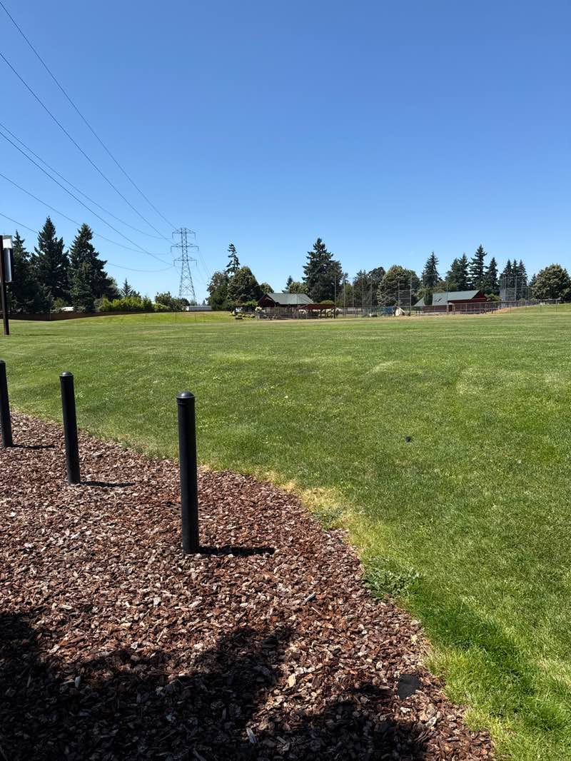 walking near me in Wesley Lynn Park in autumn