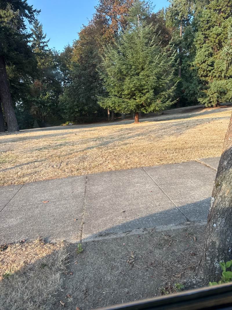 walking near me in Barclay Park in autumn
