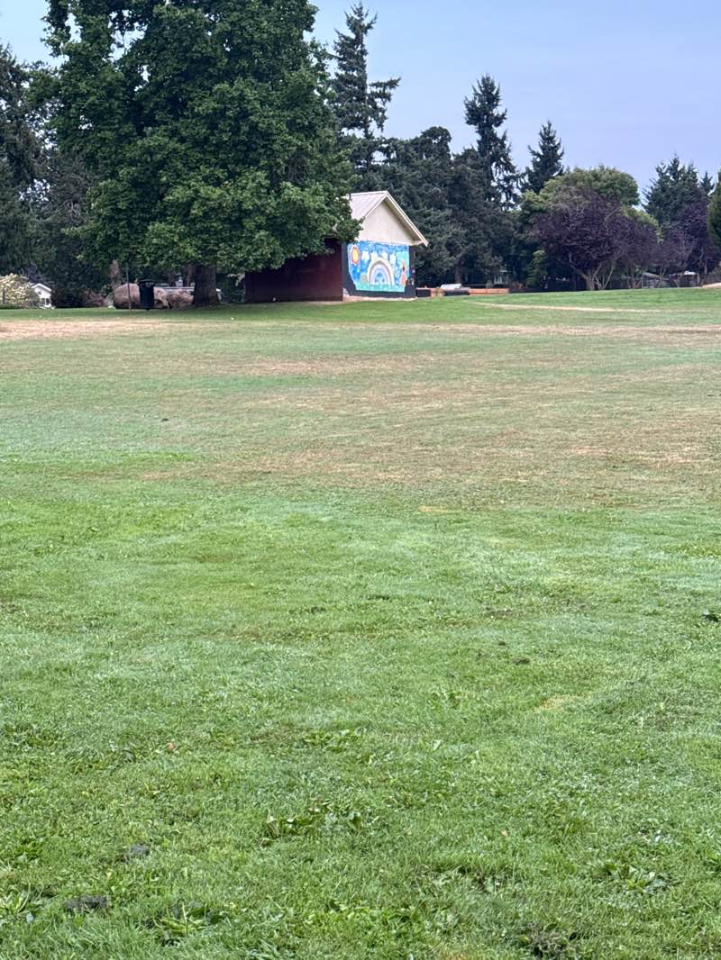 walking near me in Hillendale Park in autumn