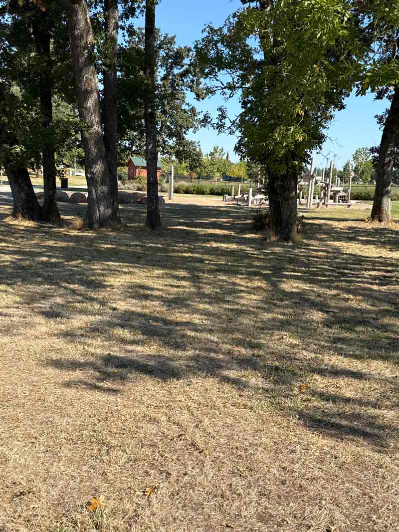 walking near me in Tyrone S. Woods Park in autumn