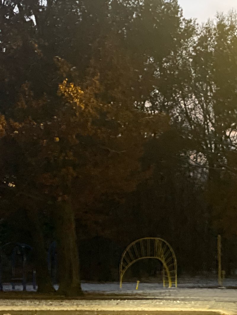 walking near me in Abbey Park in autumn