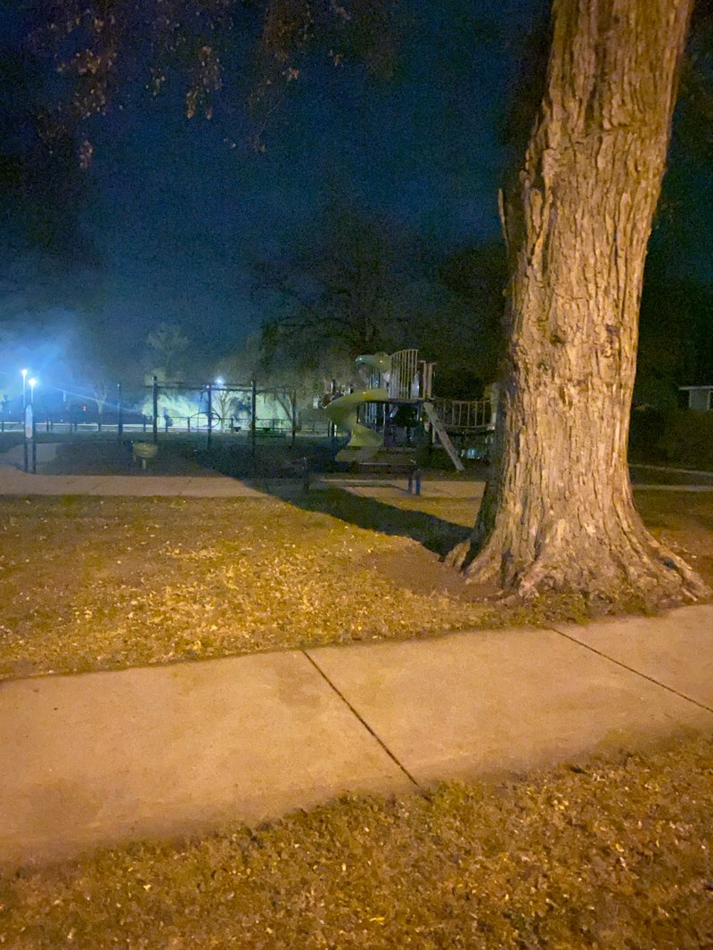 walking near me in Fugleberg Park in autumn
