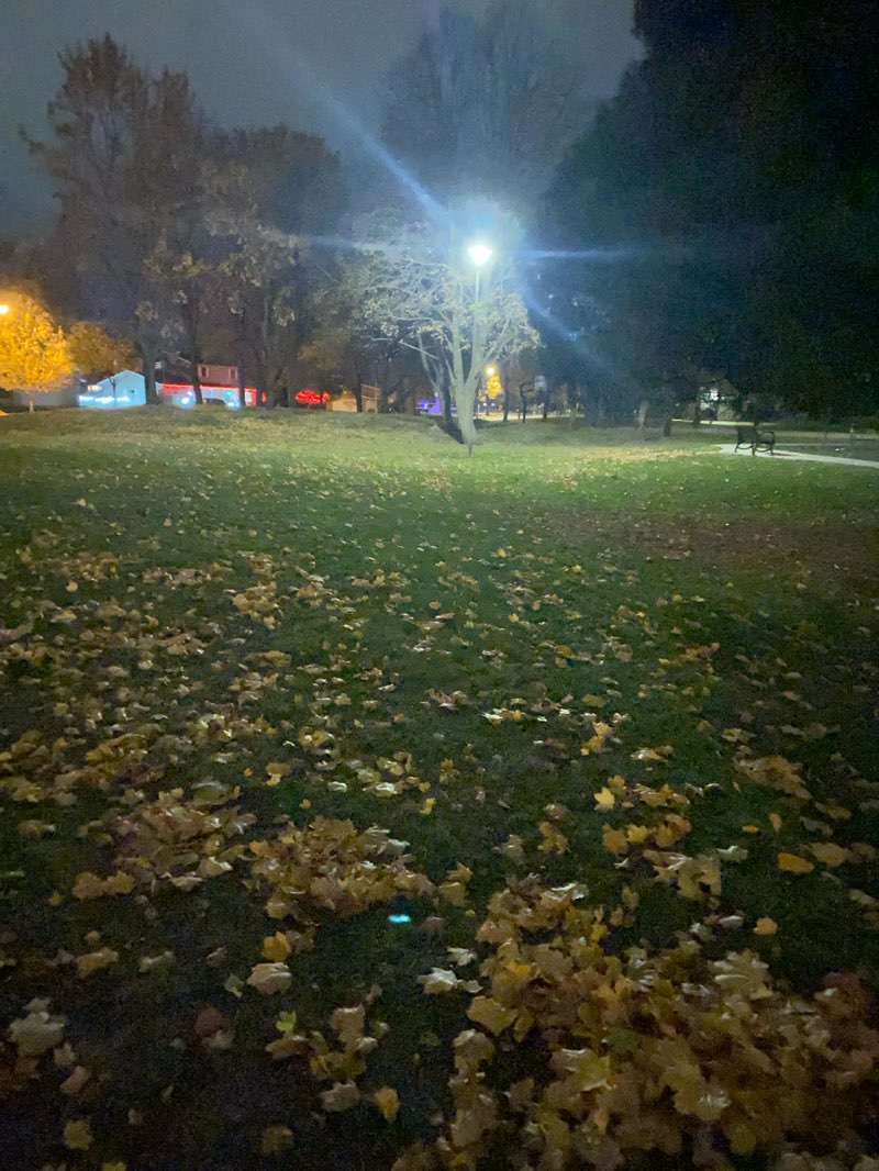 walking near me in Westhaven Circle Park in autumn