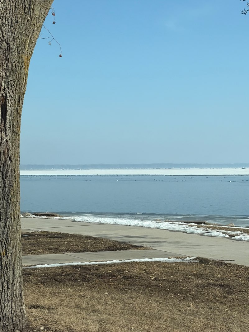 walking near me in Kimberly Point Park in winter