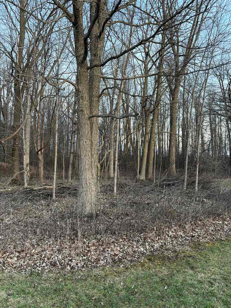 walking near me in Keating Park in spring