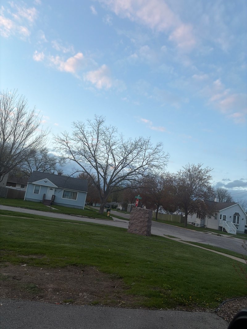walking near me in Plamore Park in spring