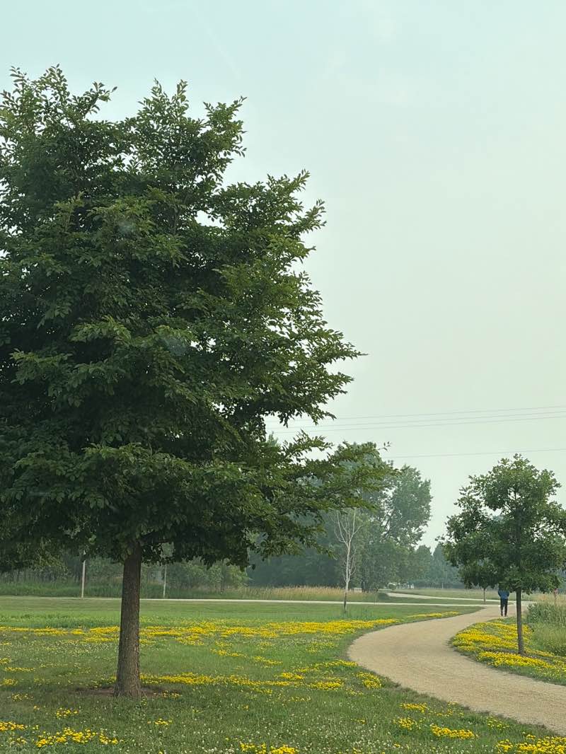 walking near me in Ken Robl Conservation Park in summer