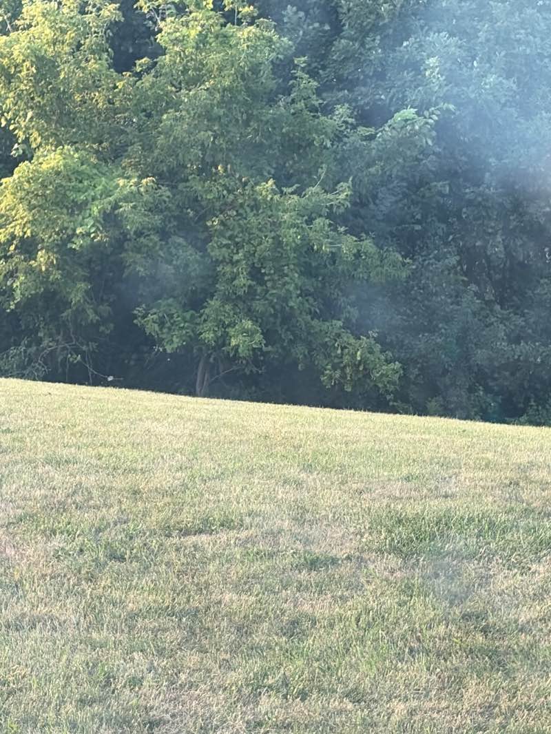 walking near me in Arrowhead Park in summer