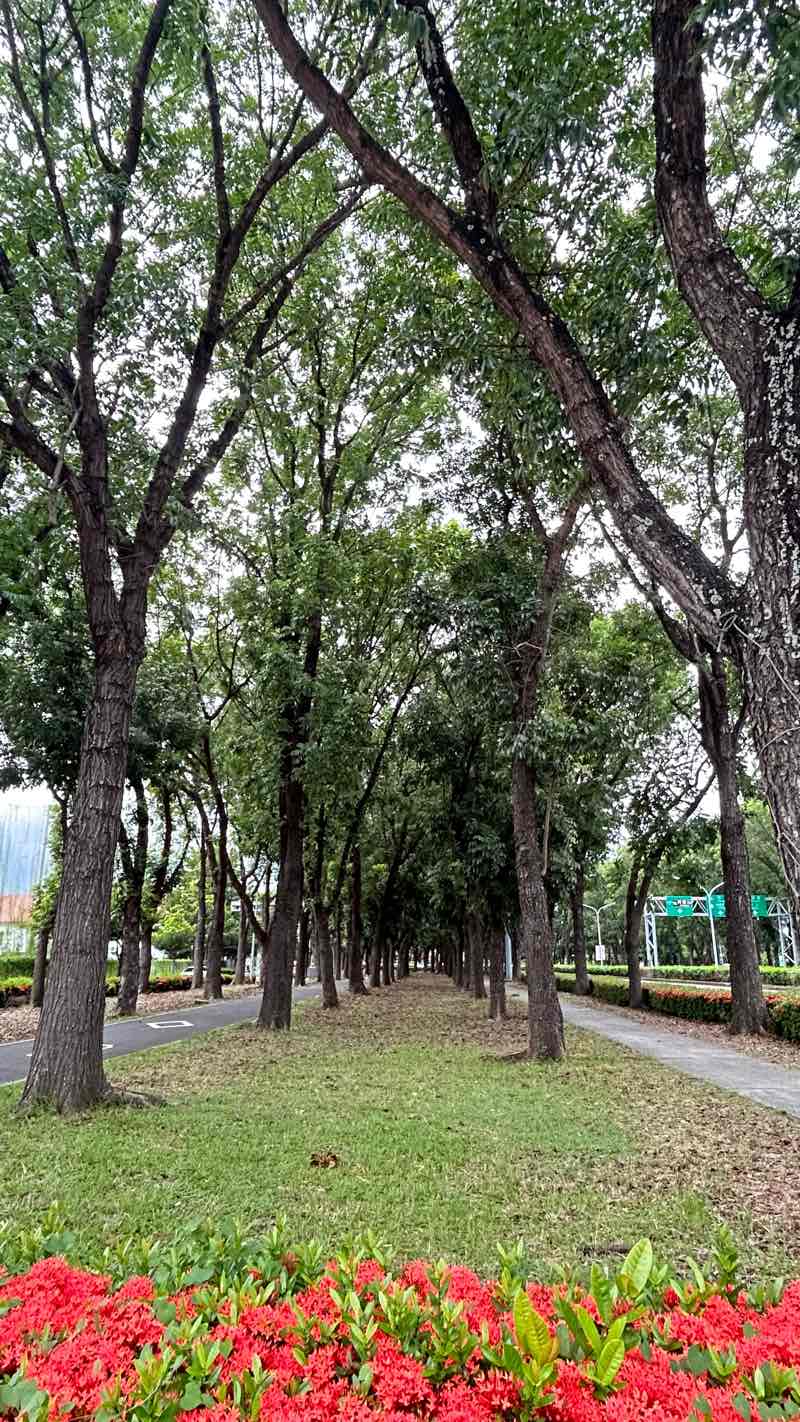 walking near me in Wenchang Park in winter