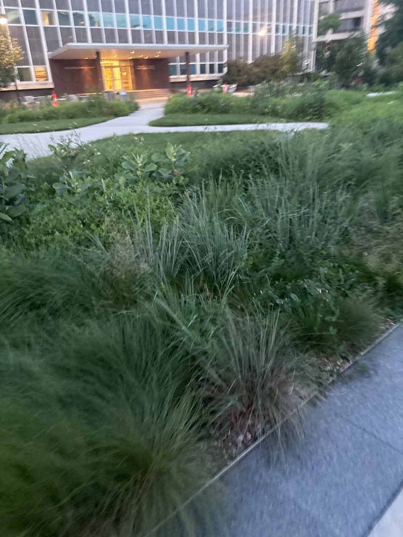 walking near me in Centennial Mall in summer
