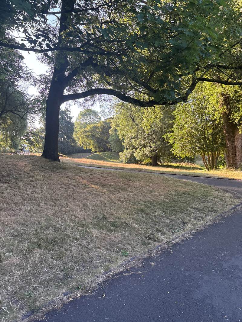 walking near me in East Park in summer