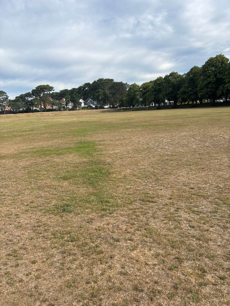 walking near me in Kings Park in summer