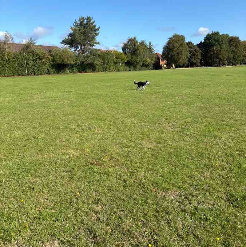 starjules22 🦒🦒🦊🦊 🇵🇸🇵🇸🇵🇸 post 1