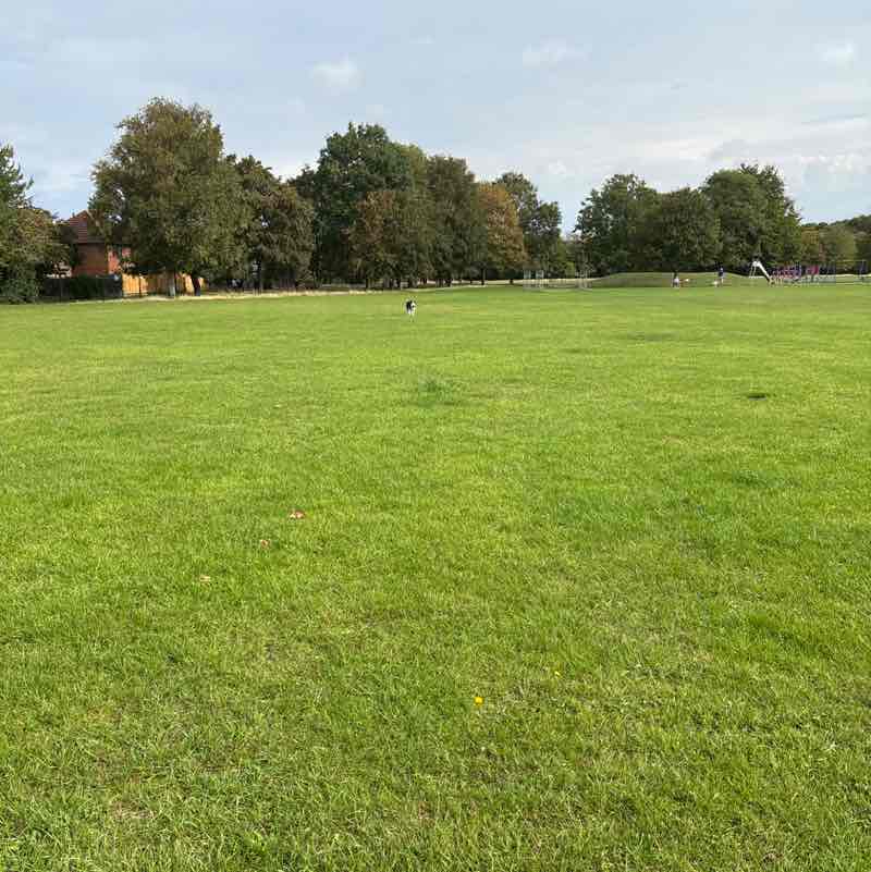 starjules22 🦒🦒🦊🦊 🇵🇸🇵🇸🇵🇸 post 1