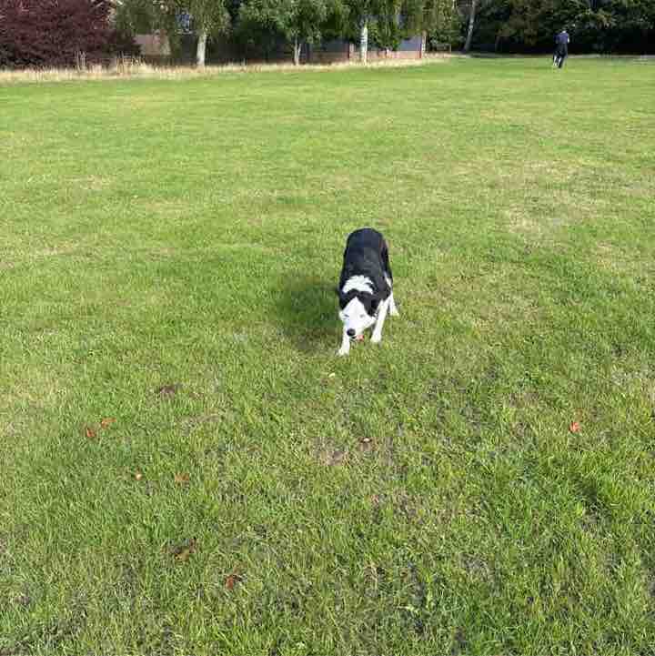 starjules22 🦒🦒🦊🦊 🇵🇸🇵🇸🇵🇸 post 1