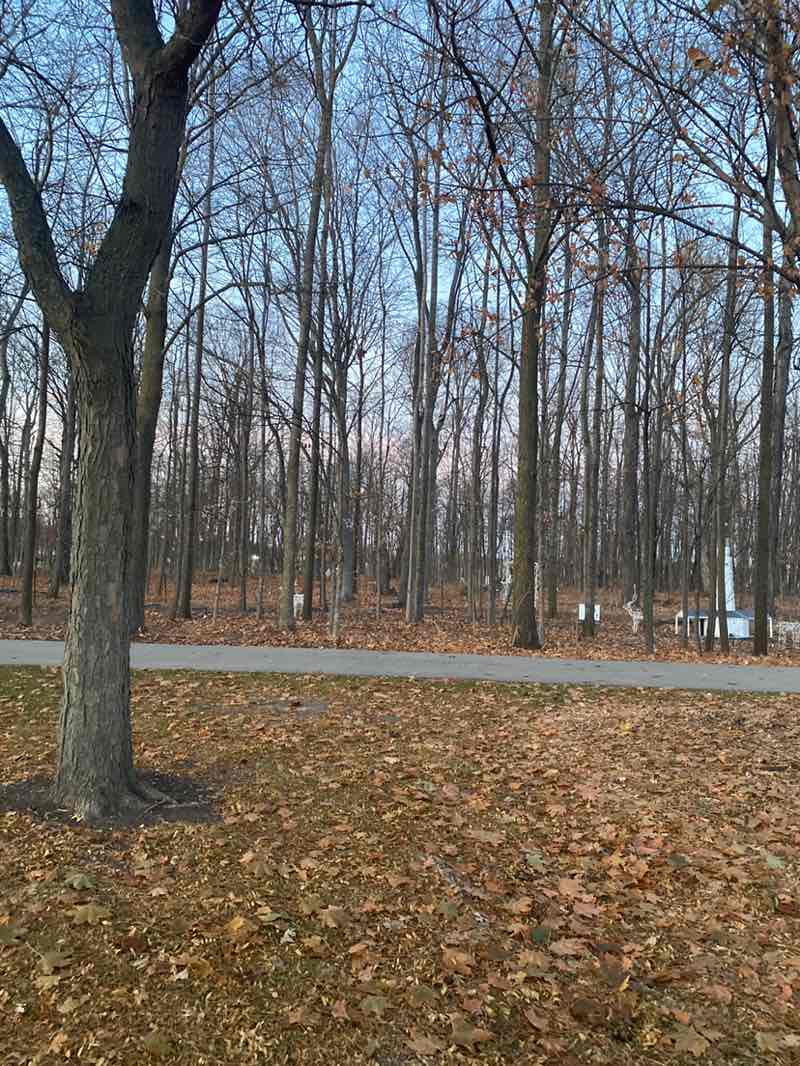 walking near me in Darboy Community Park in autumn