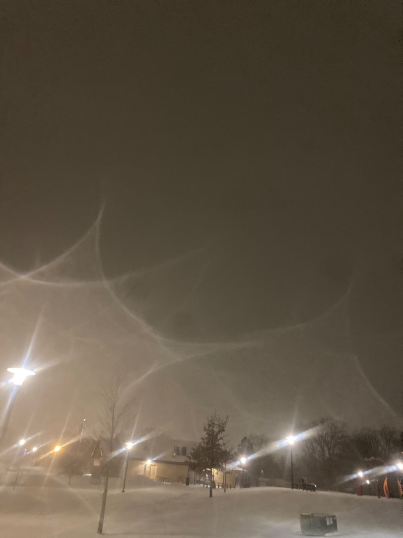 walking near me in Washington Park in winter