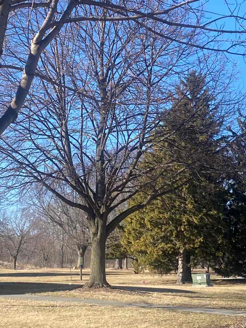 walking near me in Adelaide Park in winter
