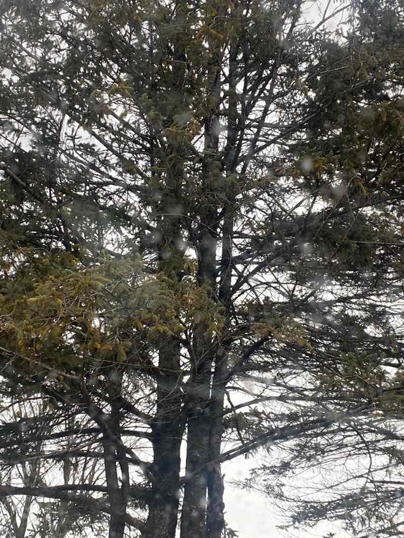 walking near me in Buttermilk Creek Park in winter
