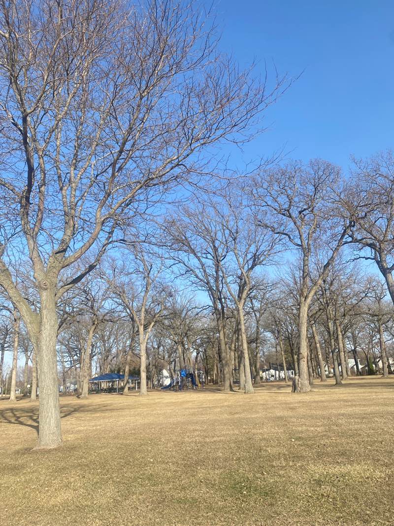 walking near me in LeMieux Park in spring