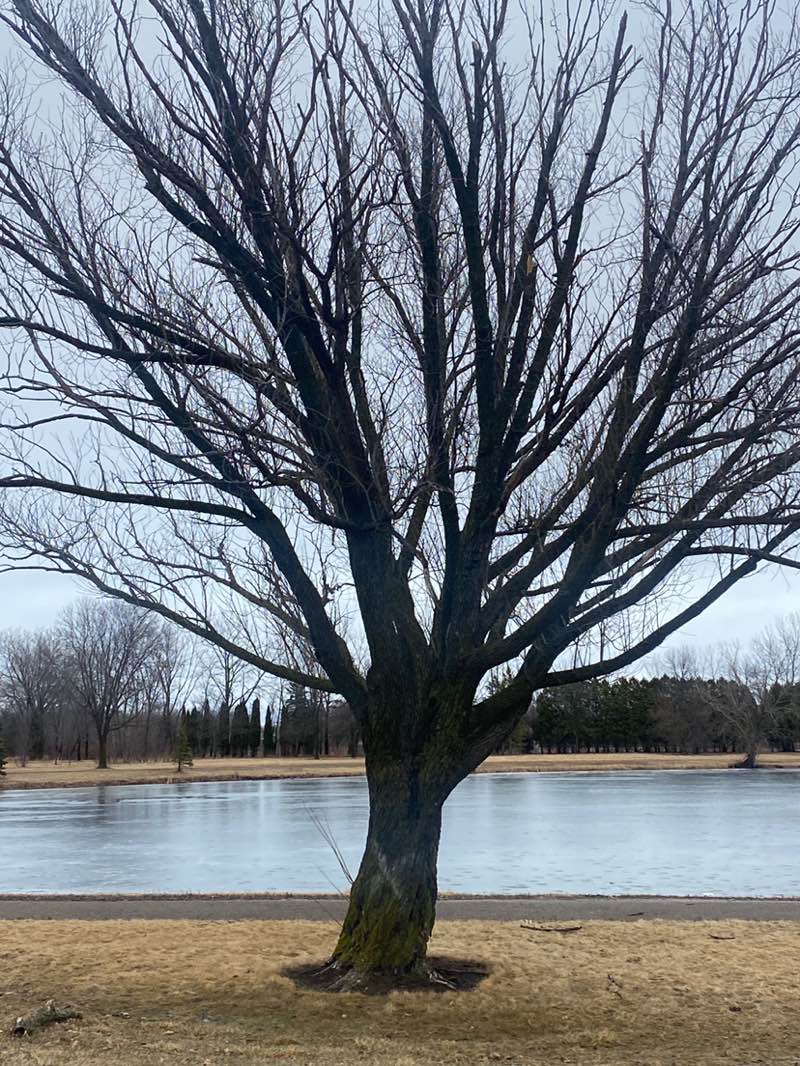 walking near me in Winnebago County Community Park in spring