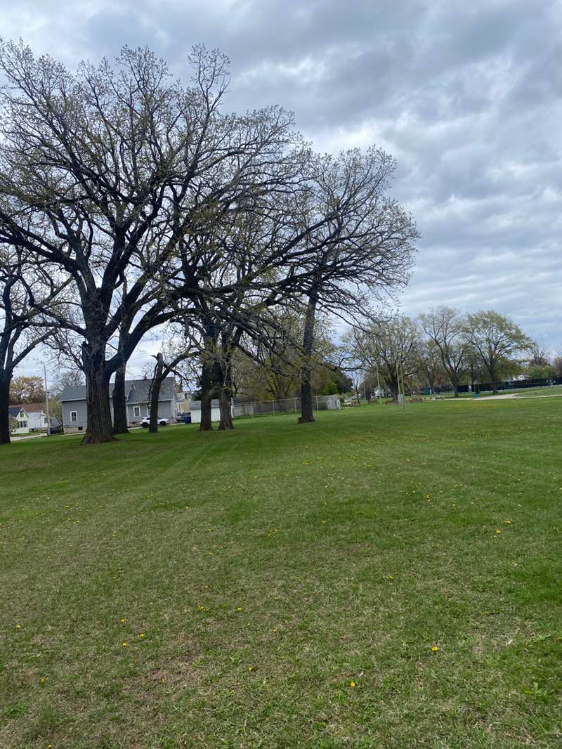 walking near me in South Park in spring