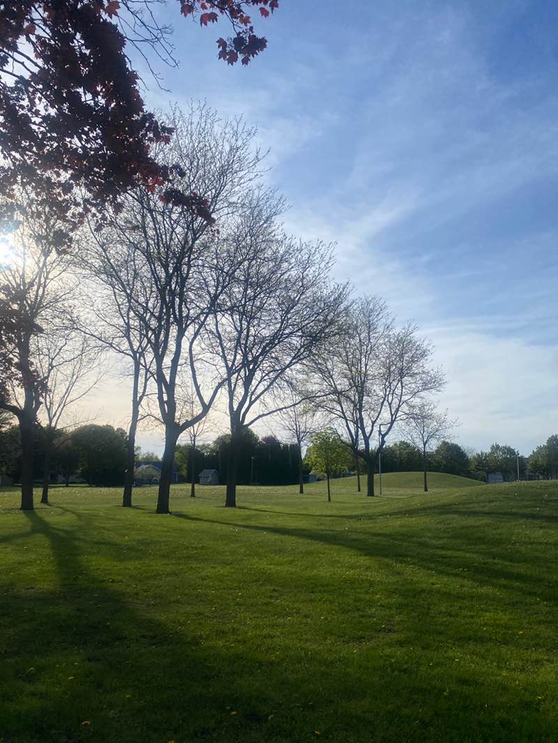 walking near me in Westhaven Circle Park in spring