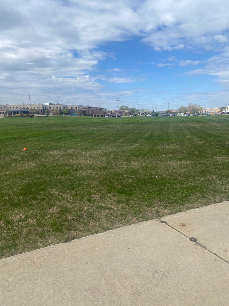 walking near me in William A Steiger Park in spring
