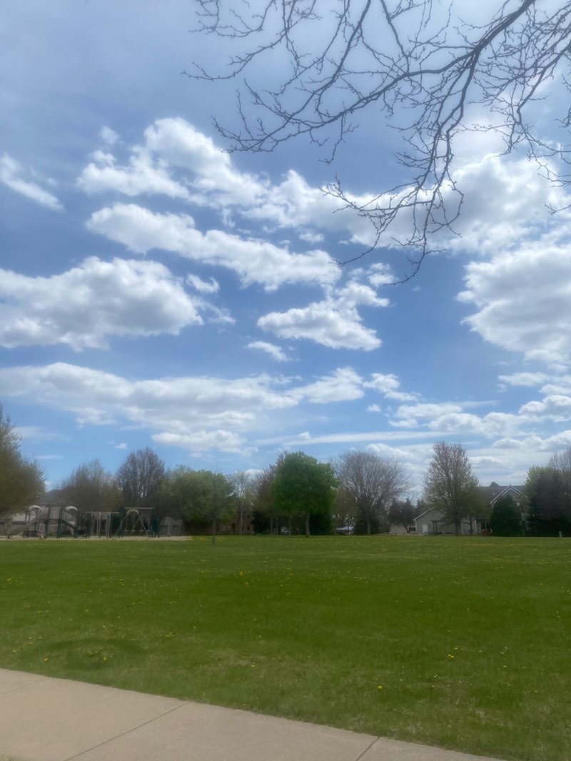 walking near me in Bill Miller Park in spring