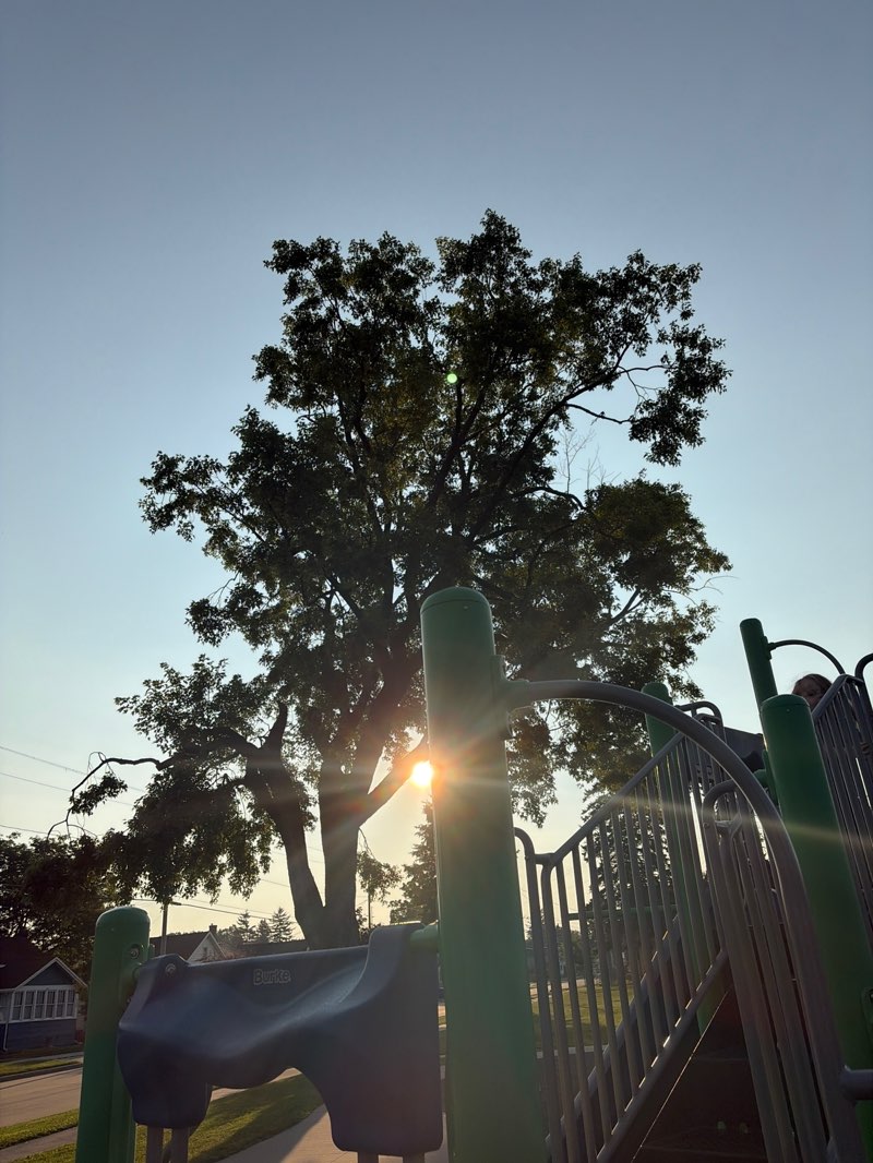 walking near me in Stoegbauer Park in summer
