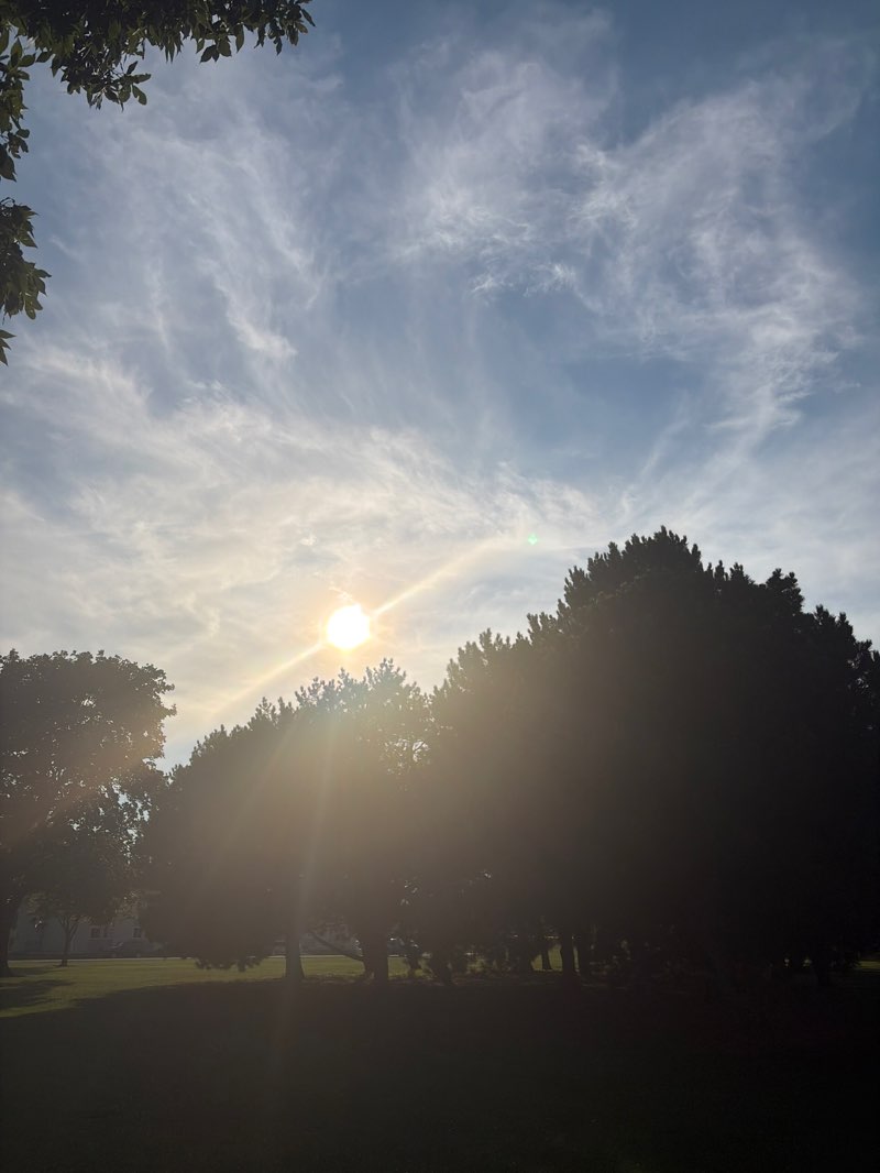 walking near me in Rainbow Park in summer