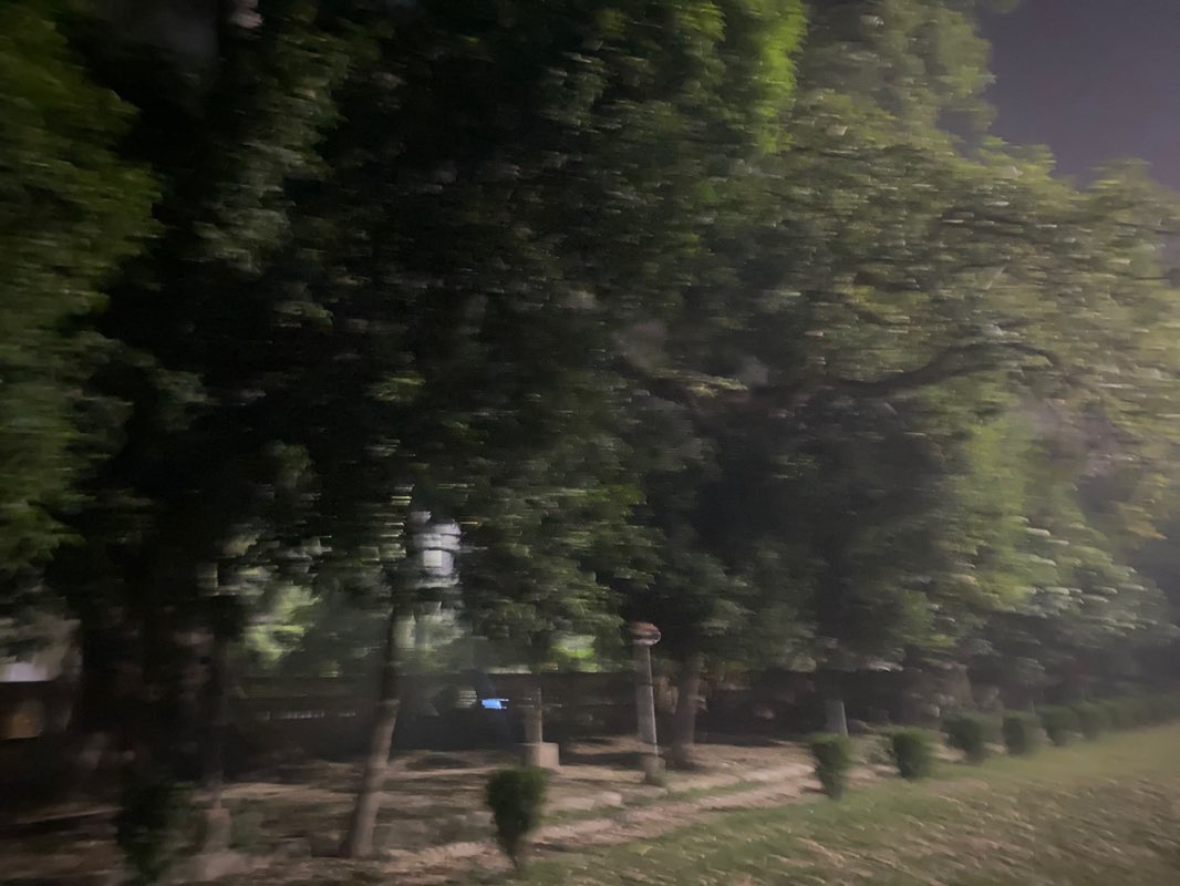 walking near me in Company Bagh in autumn