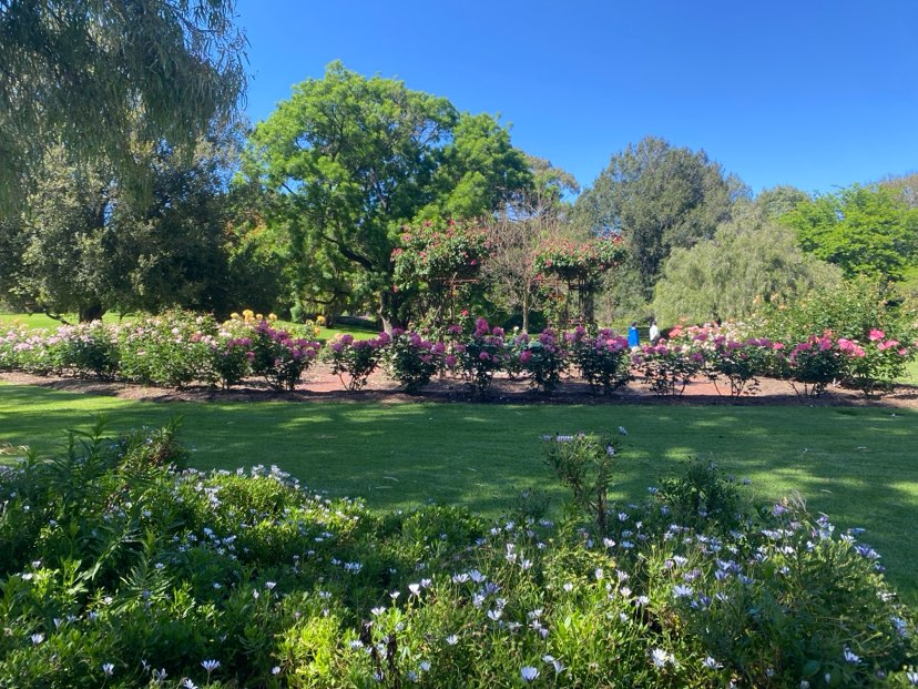 walking near me in Park 21 in spring